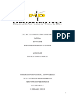 ANALISIS Y DIAGNOSTICO ORGANIZACIONAL - Parcial