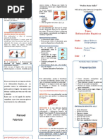 Triptico Enfermedades hepáticas-IMPRIMIR