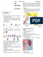 Immune System: Review OF Introductory Processes