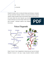 Pohon Filogenik Asriani Kase