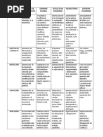 Cuadro Sindromes Respiratorios