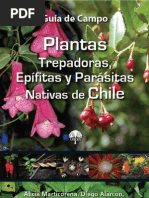 Plantas Trepadoras Epifitas Parasitas Nativas de Chile