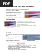 Interpretación de Resultados para Shigella