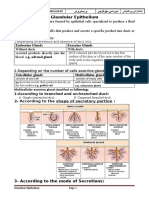 Lab 04 Glandular Epithelium