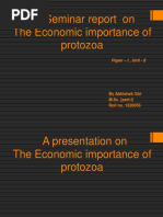 A Seminar Report On The Economic Importance of Protozoa: Paper - I, Unit - II