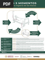 5 Momentos Higiene de Manos PDF