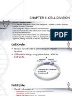 Chapter 6: Cell Division: 6.2: Cell Cycle and Mitosis