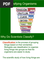 Classifying Organisms