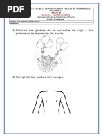 Acumulativa Preescolar