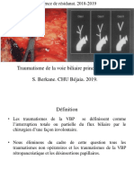 Les Traumatismes de La VBP PDF