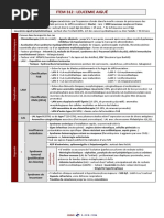 Item 312 - Leucemie Aigue