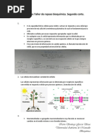 Respuestas Taller de Repaso Bioquímica PDF