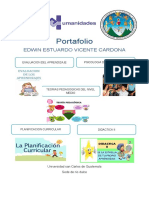 Portafolio Vicente