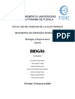 Biogas