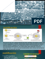 Caracterización de γ-Fe2O3-NH4OH at SiO2 (APTMS)