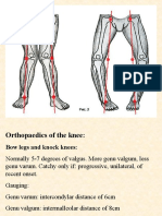 Ortho Lec Knee Orthopaedics