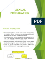 Asexual Propagation