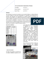 Reacción de Caracterización de Aminoácidos y Proteínas