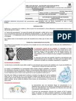 Teoria Del Conocimiento en Platón