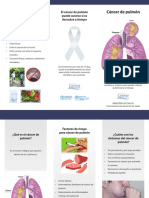 Triptico Cancer de Pulmon