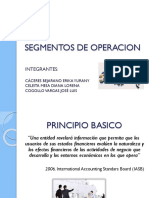 Niif 8 Diapositivas