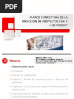 Marco Conceptual Cap I, II y III PMBOK 6ta PDF