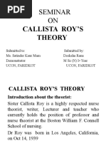 Callista Roy's Theory