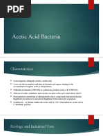 Acetic Acid Bacteria