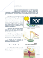 Light Dependent RXN