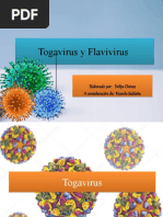 Togavirus y Flavivirus