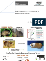 IMPACTO DE LA MEJORA GENÉTICA Ok Ok