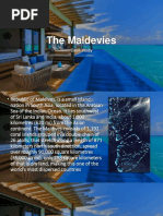 The Maldevies: Case Study