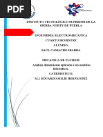 Analisis Dimensional Aplicado A Los Modelos Hidraulicos