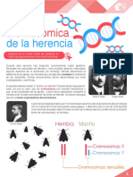 M16 S2 Teoria Cromosomica de La Herencia PDF PDF