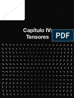 Capítulo IV Tensores PDF