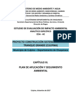 EEIA AE - Cap. XI. PASA - Construcción Sistema Riego El Tranque Grande - Culpina