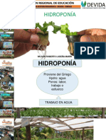 HIDROPONÍA