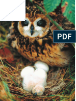 Biodiversidad de Chile PDF