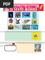 Origen de La Vida para Sexto de Primaria