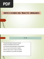 Infecion Del Tracto Urinario PDF