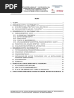 Informe Ejecutivo