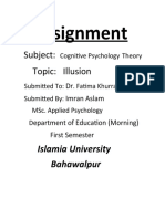 Assignment Cognitve Illusions