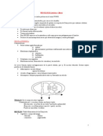 Micro Biologia