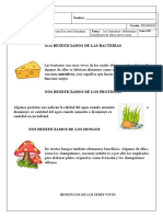 Guías de Trabajo en Casa