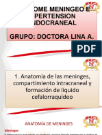 Sindrome Meningeo e Hipertension Endocraneal