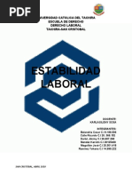 Estabilidad Laboral Completo