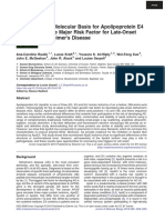 The Molecular Basis For Apolipoprotein E4 As The Major Risk Factor For Late-Onset Alzheimer's Disease