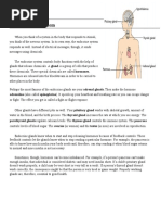 Endorcrine System