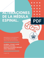 Alteraciones de La Médula Espinal.