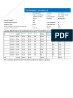 Repayment Report